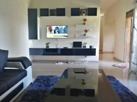 Spacious Zamtel flat