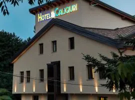 Hotel Ristorante Caligiuri