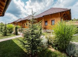 Kedar selo Goč, holiday rental sa Goč