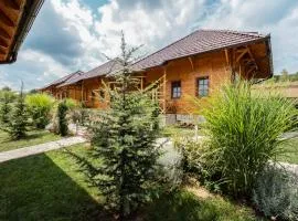 Kedar selo Goč