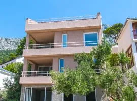 Apartments with parking space Brela, Makarska - 16596