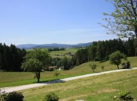 Idyllische Ferienwohnung in Viechtach in Waldnähe