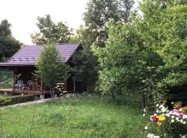 Галіція