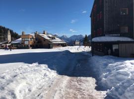 Paradise Dolomiti flat: Falcade'de bir ucuz otel