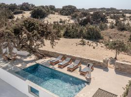 Ammolofos Luxury Apartment & suites, hotel amb piscina a Naxos Chora