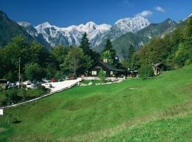 Guest House Kraljev Hrib, готель біля визначного місця Nihalka Velika Planina, у місті Камнишка Бистриця