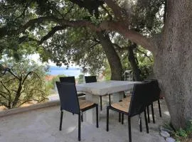 Apartments with parking space Stanici, Omis - 1027