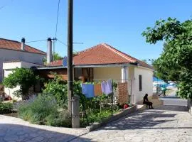 Apartments by the sea Tkon, Pasman - 822