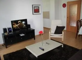 Apartment Dresden City Centre