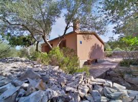 Secluded fisherman's cottage Cove Jaz - Telascica, Dugi otok - 876, hotel u gradu Sali