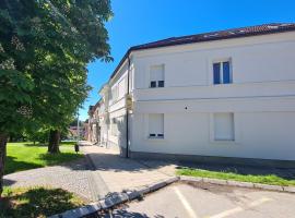 Rooms with a parking space Daruvar, Bjelovarska - 18842, ubytovanie typu bed and breakfast v destinácii Daruvar