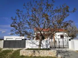 Family friendly house with a swimming pool Bulic, Zagora - 18943