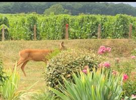 Avre de Paix au pied des Vignes，Thauvenay的有停車位的飯店