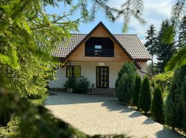 Pensiunea Ionela, pet-friendly hotel in Zemeş