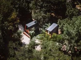 Eco Village In The Forest
