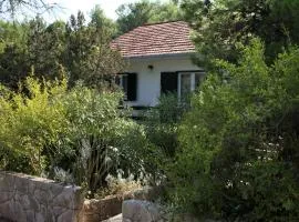 Apartments by the sea Mudri Dolac, Hvar - 4042