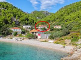 Seaside secluded apartments Cove Skozanje, Hvar - 4024, hotell i Gdinj