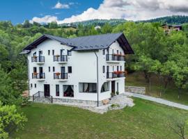 Liniștea Codrului, luxury hotel in Borşa