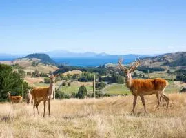 Hilltop Whakaipo Estate