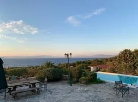 Pines & Sea Studio