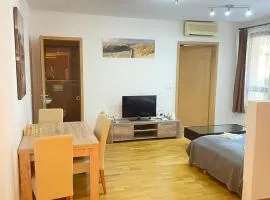 BDA Budapest Downtown Apartment H12
