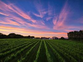 Llanerch Vineyard Hotel, hotel v destinaci Hensol