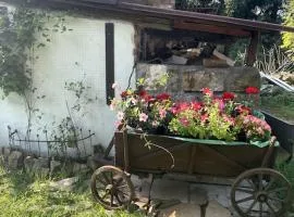 Apartament pod Brzozami