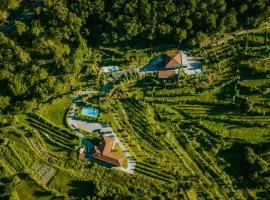 Casa da Adega - Quinta da Portela