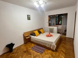 Miha modern and central apartament Malul Mureșului, hotel pentru familii din Arad