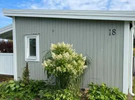 Awesome Home In Falkenberg With Wifi