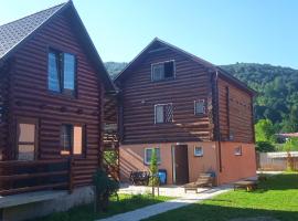 ШОВКОВА КОСИЦЯ, farm stay in Rakhiv