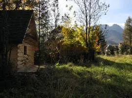 Tutok