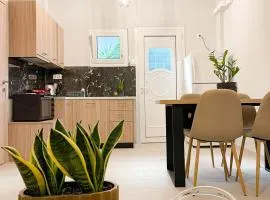 Central neighborhood house