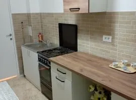Apartament Herculane cu vedere la munte