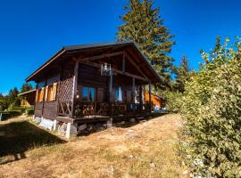 Chalet du Bois Joli, villa i Saint-Laurent-en-Grandvaux