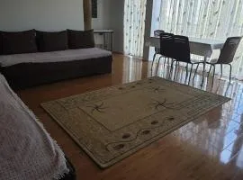 Central Skopje Home Lüks