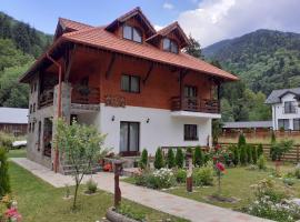 Pensiunea Pietrosul Rodnei, hotel v destinaci Moisei