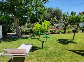 Il giardino
