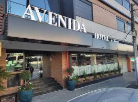 AVENIDA HOTEL DE RESENDE, hotel kapsul di Resende