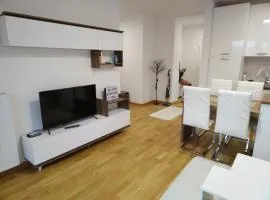 Apartman Tara Jagodina, ima privatni parking u garazi