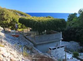 Secluded fisherman's cottage Cove Rasohatica, Korcula - 9233