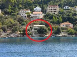 Apartments by the sea Brna, Korcula - 9293