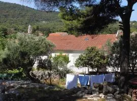 Rooms by the sea Veli Losinj, Losinj - 8032