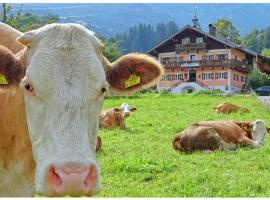 AlpinResort DerBacherhof, viešbutis mieste Nydernzylis