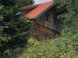 Haus Hanna, cottage in Wolfsberg