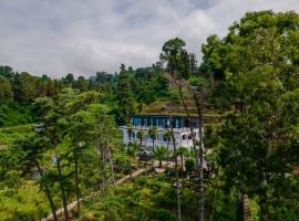 House at the Sea, fonda a Batumi