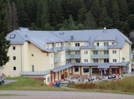 Holiday resort Grafenmatt Feldberg, горнолыжный отель в Фельдберге