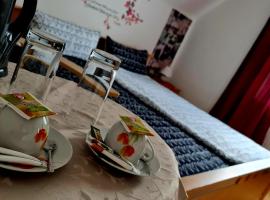Pension Transilvania, bed & breakfast i Immendingen