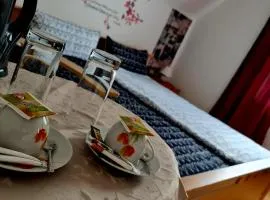 Pension Transilvania