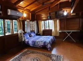 An adorable, spacious, quiet and comfy WFH space